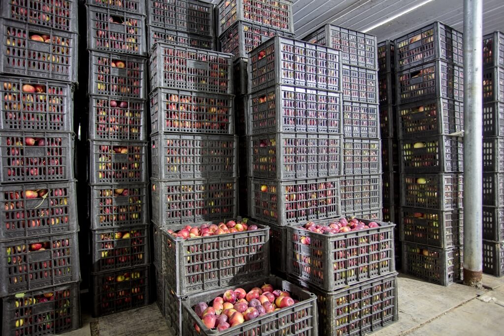 Cold Storage Space Shortage Heating Rents Up Friedman Real Estate